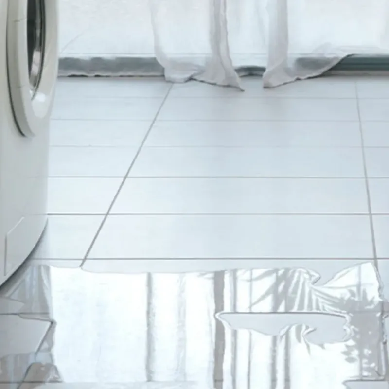 Appliance Leak Cleanup in Normandy Park, WA