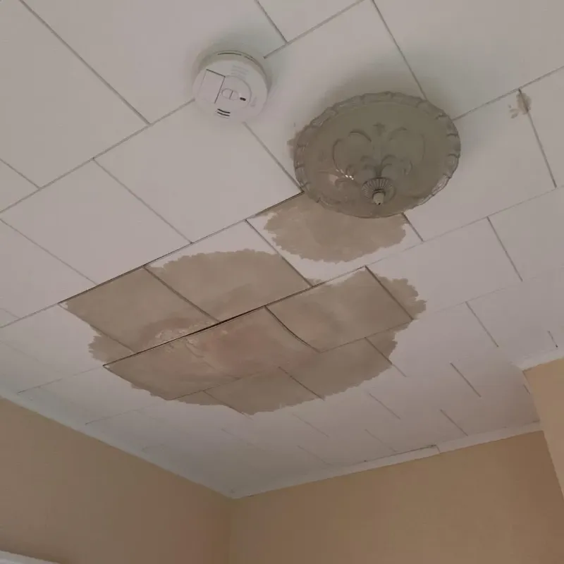 Ceiling Water Damage Repair in Normandy Park, WA