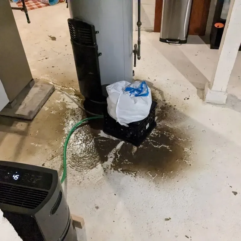 Sewage Backup Cleanup Service in Normandy Park, WA